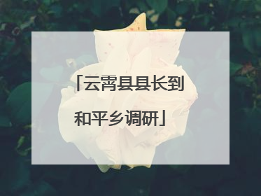 云霄县县长到和平乡调研