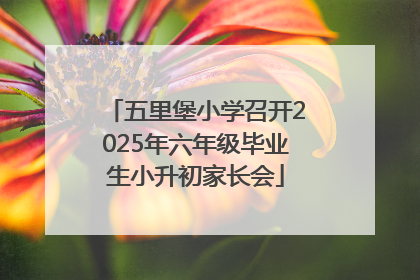 五里堡小学召开2025年六年级毕业生小升初家长会