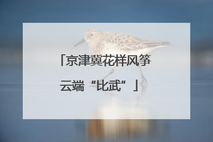 京津冀花样风筝云端“比武”