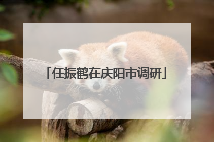 任振鹤在庆阳市调研