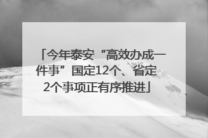 今年泰安“高效办成一件事”国定12个、省定2个事项正有序推进