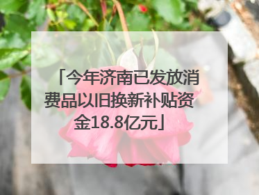 今年济南已发放消费品以旧换新补贴资金18.8亿元