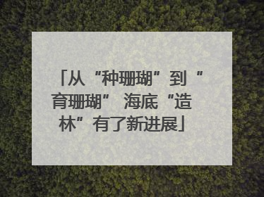 从“种珊瑚”到“育珊瑚” 海底“造林”有了新进展