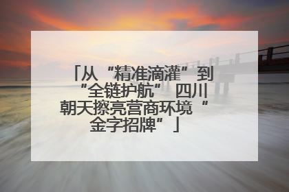 从“精准滴灌”到“全链护航” 四川朝天擦亮营商环境“金字招牌”