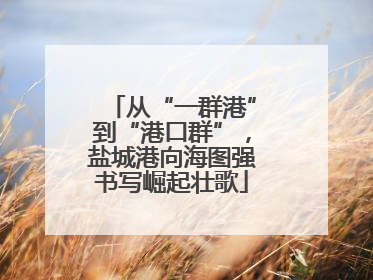 从“一群港”到“港口群”，盐城港向海图强书写崛起壮歌
