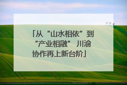 从“山水相依”到“产业相融” 川渝协作再上新台阶