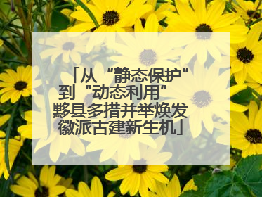 从“静态保护”到“动态利用” 黟县多措并举焕发徽派古建新生机
