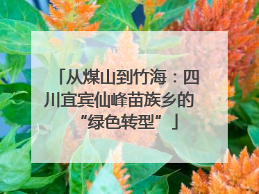 从煤山到竹海：四川宜宾仙峰苗族乡的“绿色转型”