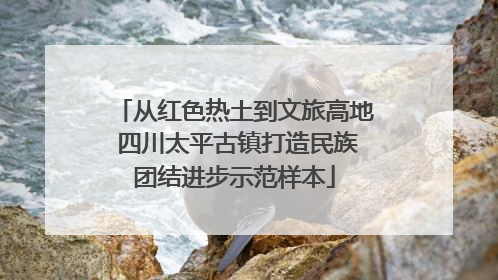 从红色热土到文旅高地 四川太平古镇打造民族团结进步示范样本