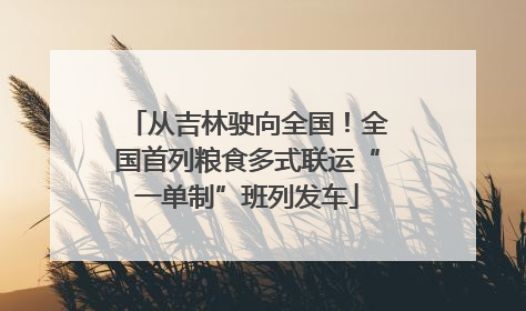 从吉林驶向全国！全国首列粮食多式联运“一单制”班列发车