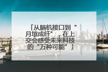 从脑机接口到“月壤成纤”，在上交会感受未来科技的“万种可能”
