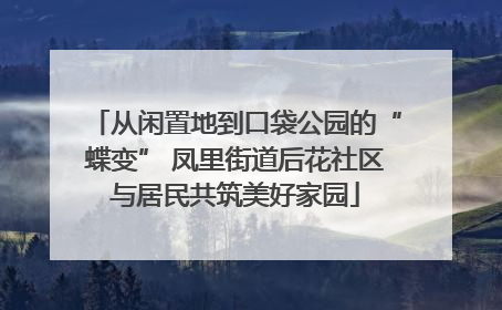 从闲置地到口袋公园的“蝶变” 凤里街道后花社区与居民共筑美好家园