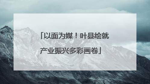 以面为媒！叶县绘就产业振兴多彩画卷