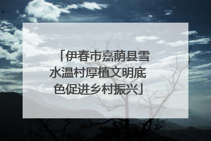 伊春市嘉荫县雪水温村厚植文明底色促进乡村振兴