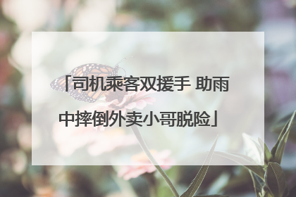 司机乘客双援手 助雨中摔倒外卖小哥脱险
