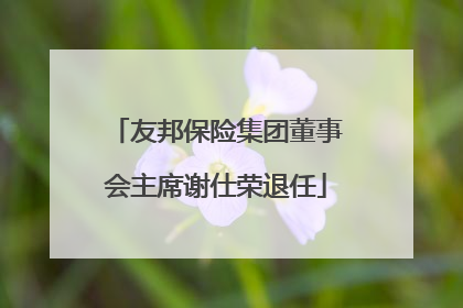 友邦保险集团董事会主席谢仕荣退任