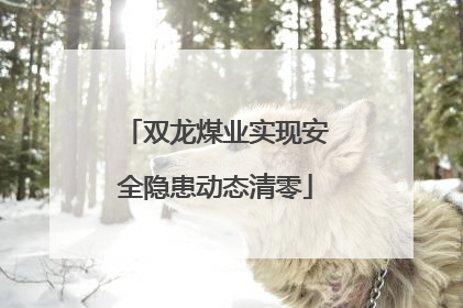 双龙煤业实现安全隐患动态清零