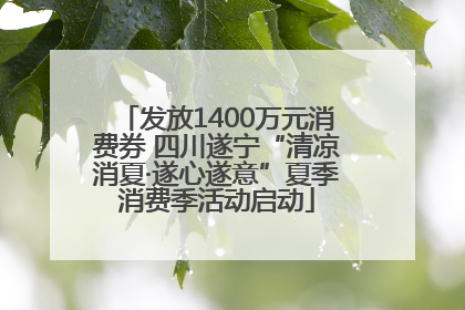 发放1400万元消费券 四川遂宁“清凉消夏·遂心遂意”夏季消费季活动启动