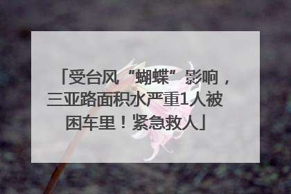 受台风“蝴蝶”影响，三亚路面积水严重1人被困车里！紧急救人