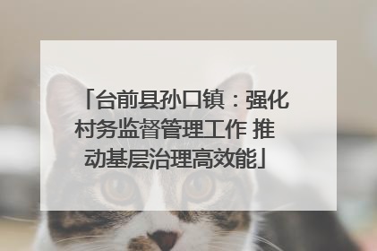 台前县孙口镇：强化村务监督管理工作 推动基层治理高效能