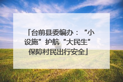 台前县委编办：“小设施”护航“大民生” 保障村民出行安全