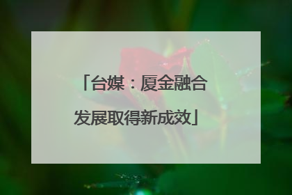 台媒：厦金融合发展取得新成效