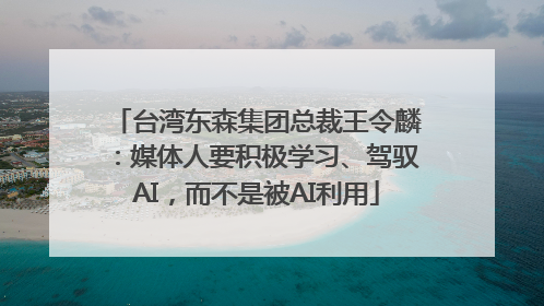 台湾东森集团总裁王令麟：媒体人要积极学习、驾驭AI，而不是被AI利用
