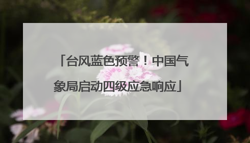 台风蓝色预警！中国气象局启动四级应急响应