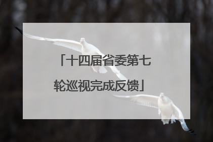 十四届省委第七轮巡视完成反馈