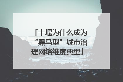 十堰为什么成为“黑马型”城市治理网络维度典型
