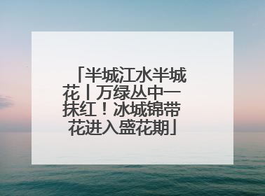 半城江水半城花丨万绿丛中一抹红！冰城锦带花进入盛花期
