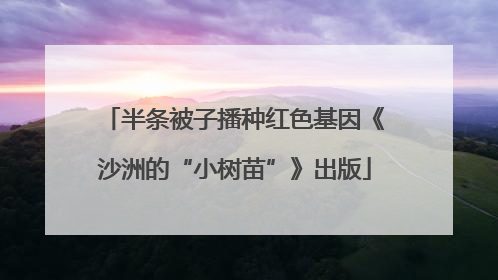 半条被子播种红色基因《沙洲的“小树苗”》出版