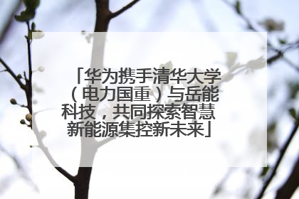 华为携手清华大学（电力国重）与岳能科技，共同探索智慧新能源集控新未来