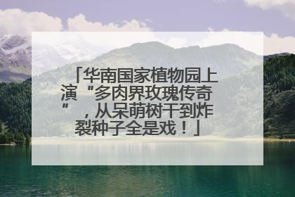 华南国家植物园上演“多肉界玫瑰传奇”，从呆萌树干到炸裂种子全是戏！