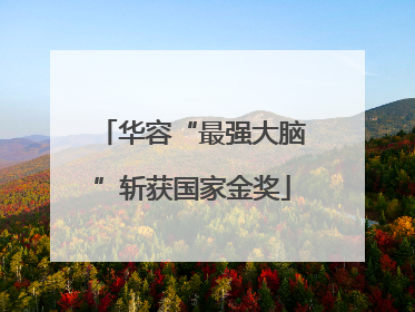 华容“最强大脑”斩获国家金奖