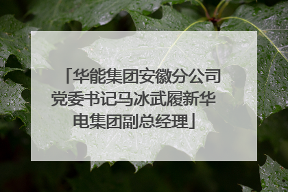 华能集团安徽分公司党委书记马冰武履新华电集团副总经理