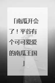 南瓜开会了！平谷有个可可爱爱的南瓜王国