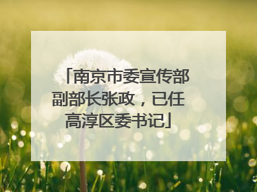 南京市委宣传部副部长张政，已任高淳区委书记