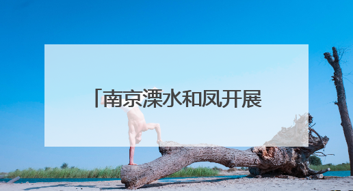 南京溧水和凤开展传统节日主题活动
