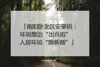 南阳卧龙区安皋镇：环境整治“出真招” 人居环境“焕新颜”