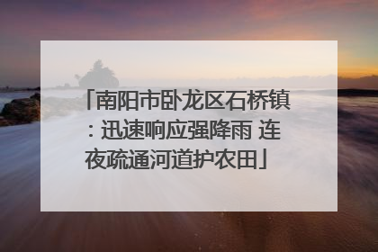 南阳市卧龙区石桥镇：迅速响应强降雨 连夜疏通河道护农田