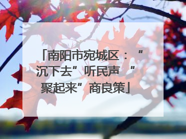 南阳市宛城区：“沉下去”听民声 “聚起来”商良策