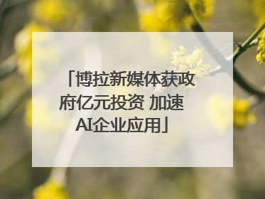 博拉新媒体获政府亿元投资 加速AI企业应用