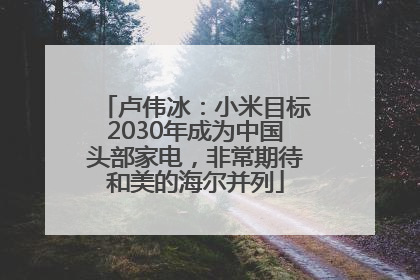 卢伟冰：小米目标2030年成为中国头部家电，非常期待和美的海尔并列