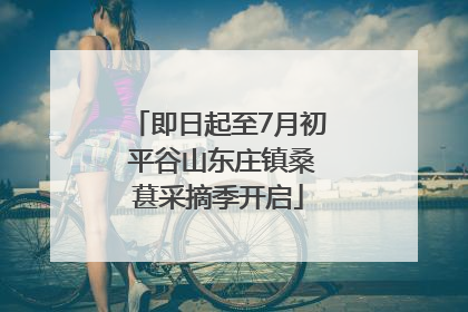即日起至7月初 平谷山东庄镇桑葚采摘季开启