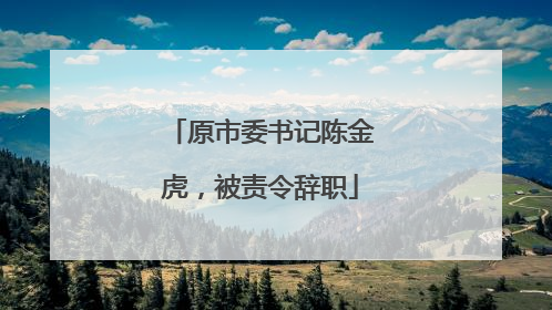 原市委书记陈金虎，被责令辞职