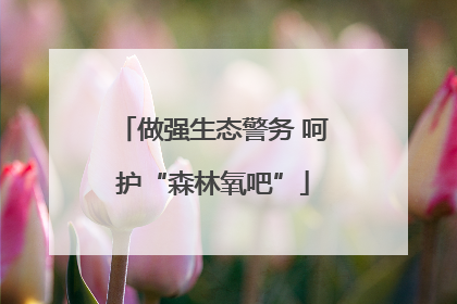 做强生态警务 呵护“森林氧吧”