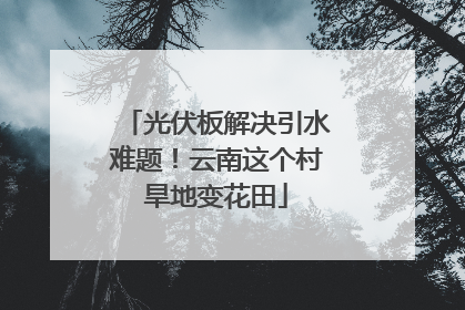 光伏板解决引水难题！云南这个村旱地变花田