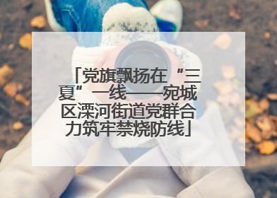 党旗飘扬在“三夏”一线——宛城区溧河街道党群合力筑牢禁烧防线