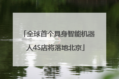 全球首个具身智能机器人4S店将落地北京